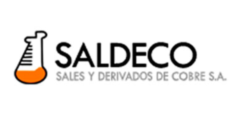 SALDECO LOGO